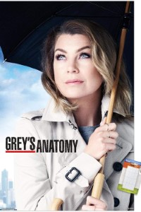 Download Grey’s Anatomy (Season 1-21) [S21E09 Added] {English With Subtitles} 720p Bluray [280MB] || 1080p [1GB]