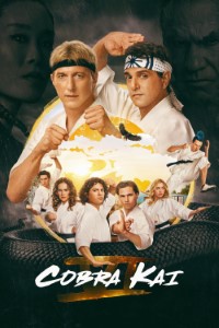 Download Cobra Kai (Season 1 – 6) [S06E15 Added] Dual Audio {Hindi-English} WeB-DL 480p [130MB] || 720p [230MB] || 1080p [1.4GB]