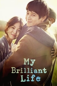 Download My Brilliant Life (2014) Dual Audio {Hindi-Korean} Esubs BluRay 480p [387MB] || 720p [1.1GB] || 1080p [2.4GB]