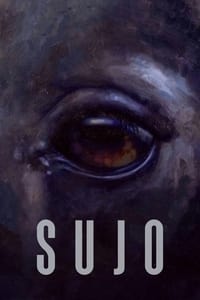 Download Sujo (2024) (Spanish Audio) Esubs Web-Dl 480p [380MB] || 720p [1GB] || 1080p [2.5GB]